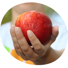 Hand Holding Apple Photo for Signage at Atlanta Community Food Bank